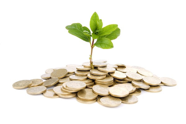 money growing from working capital